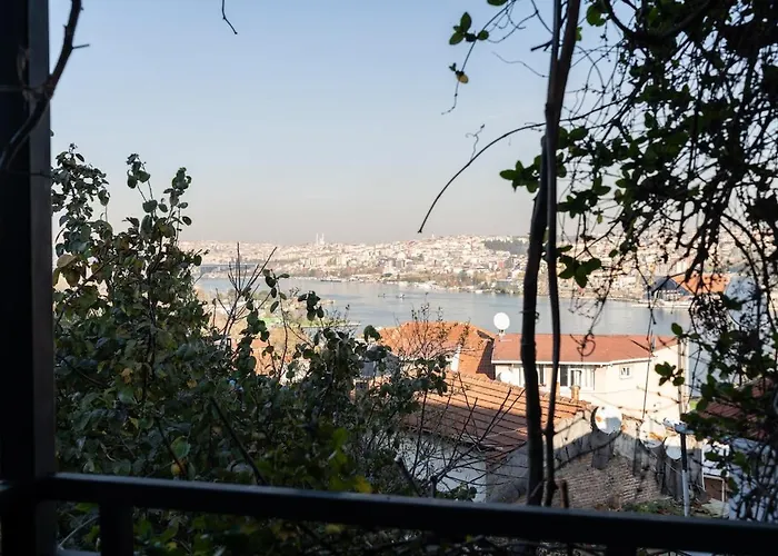 Iconic Sea View Duplex W Terrace In Balat Provincia di Istanbul